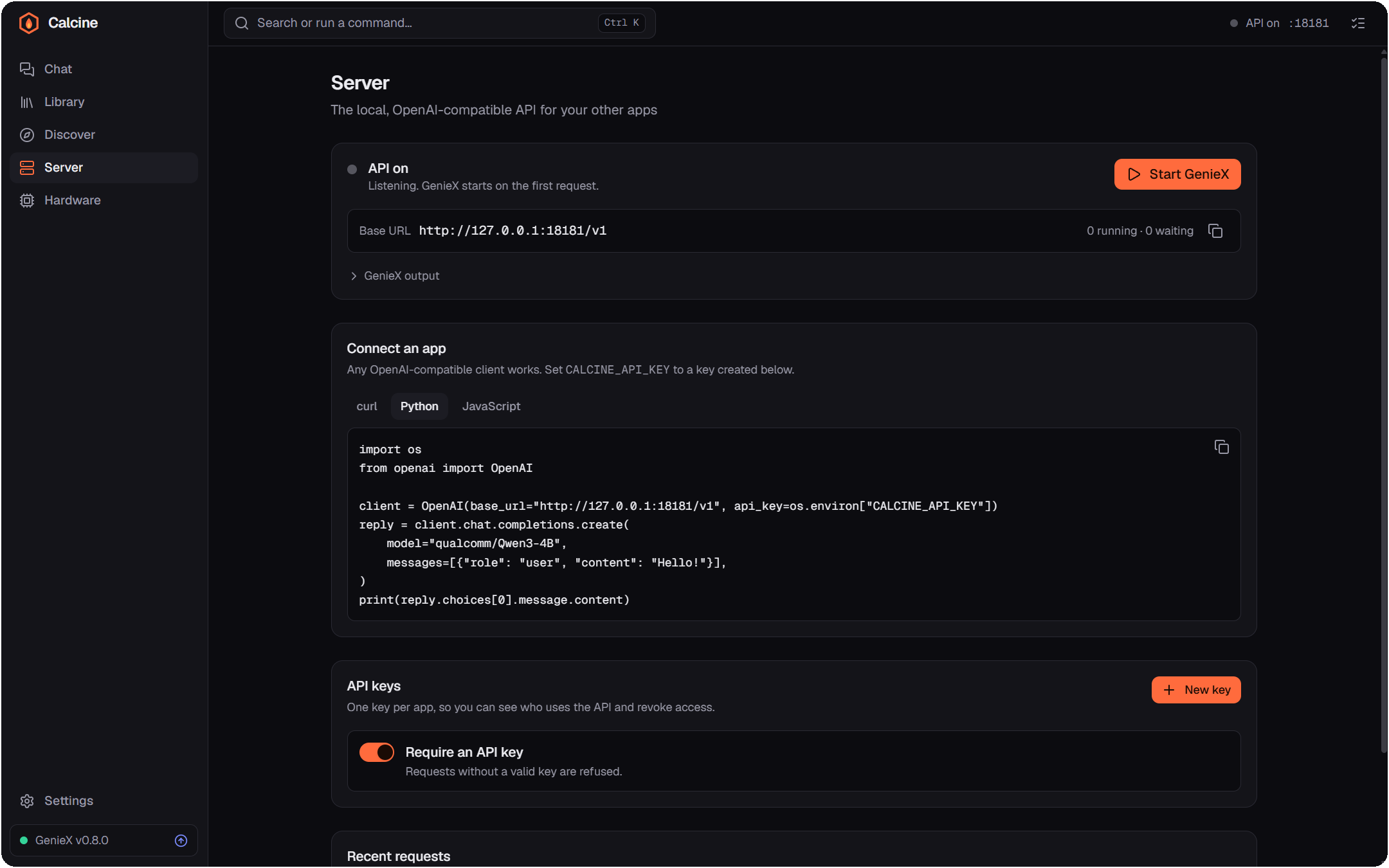 The Server page with the API base URL, ready-to-copy client code and API key settings.